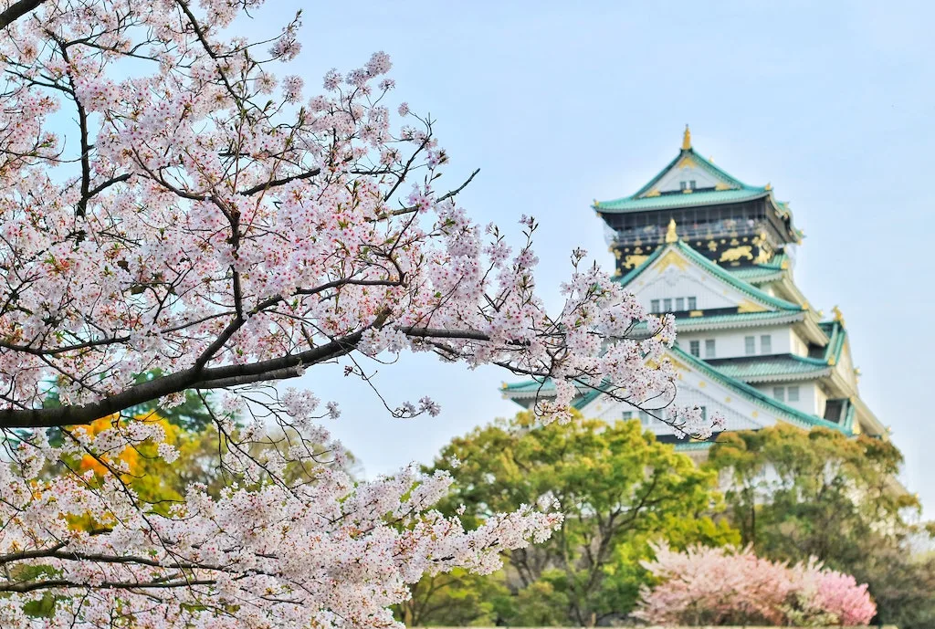 Castello-di-Osaka-e-sakura